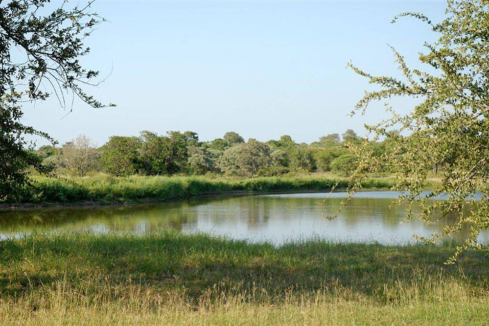 Kingfisher Bush Camp