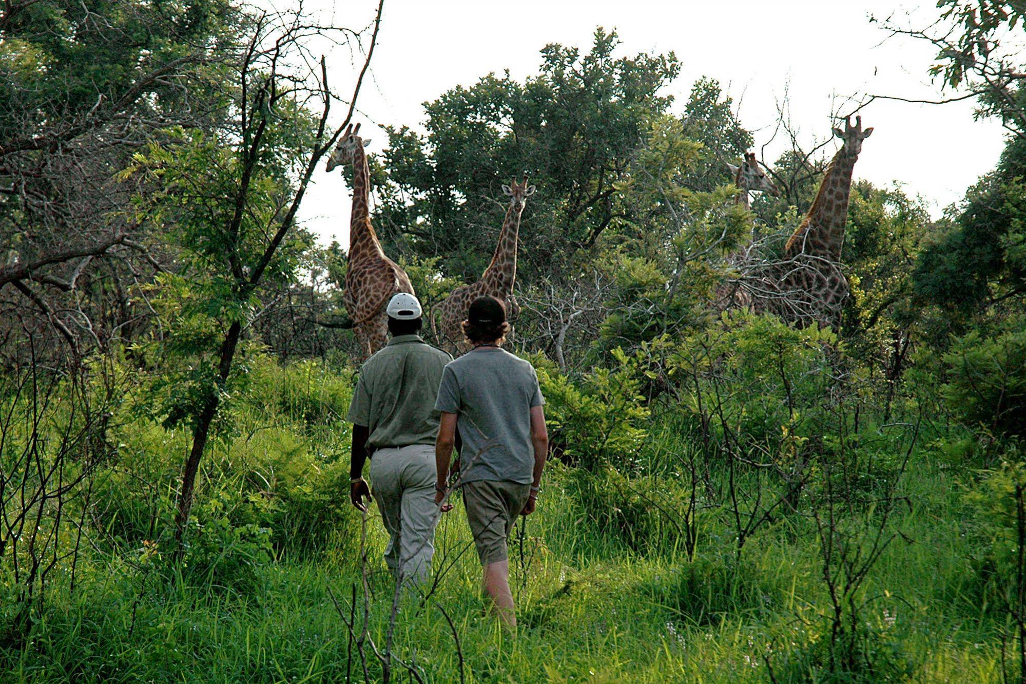 Kingfisher Bush Camp