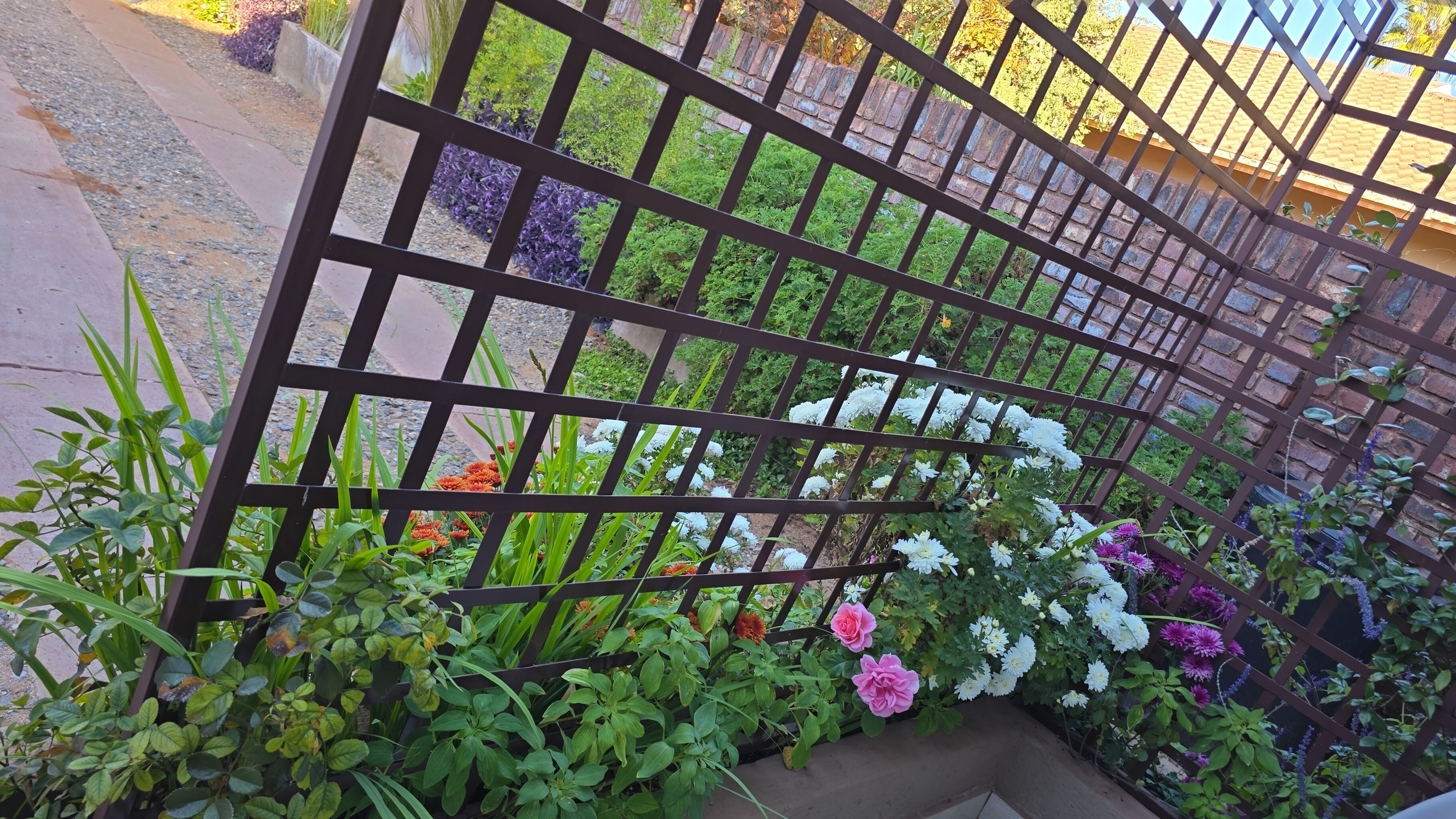 Flower Lane Guesthouse