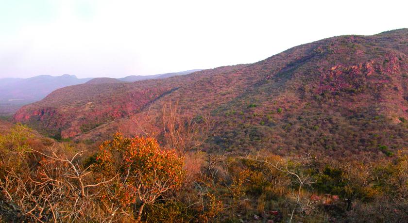 Mashovhela Bush Lodge