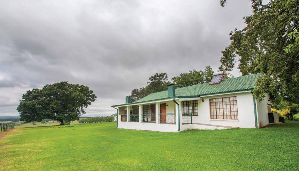 Machadostud Fly Fishing Lodge