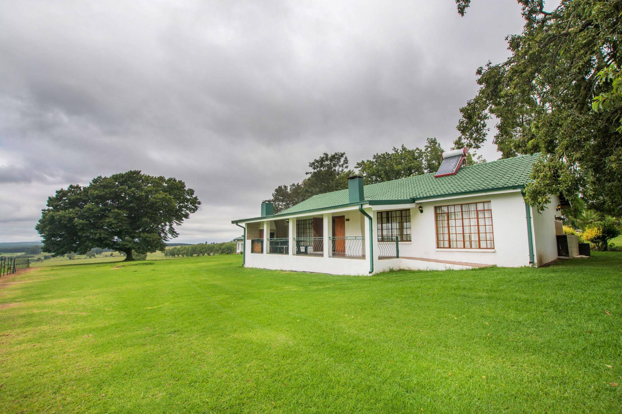 Machadostud Fly Fishing Lodge