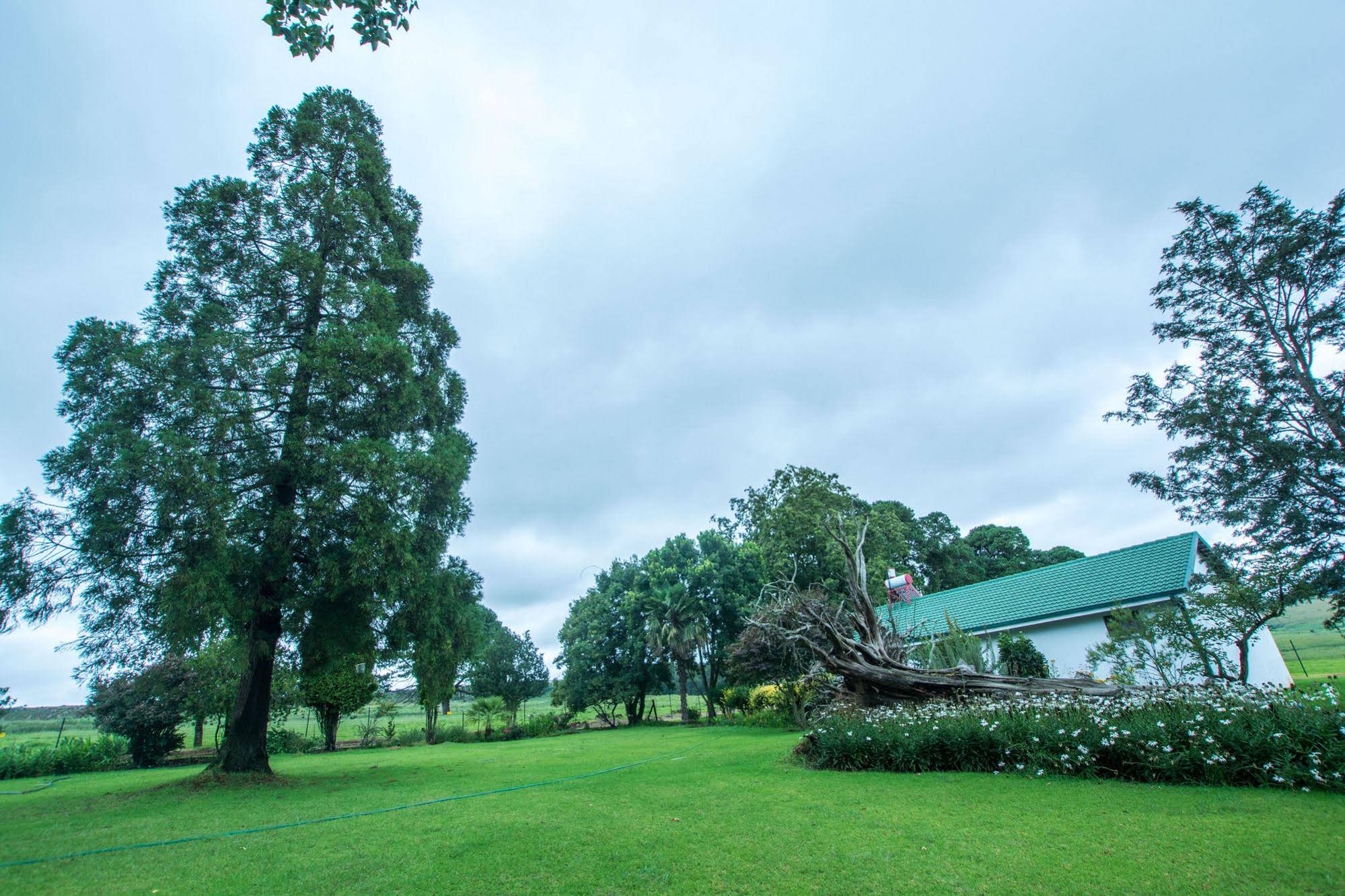 Machadostud Fly Fishing Lodge