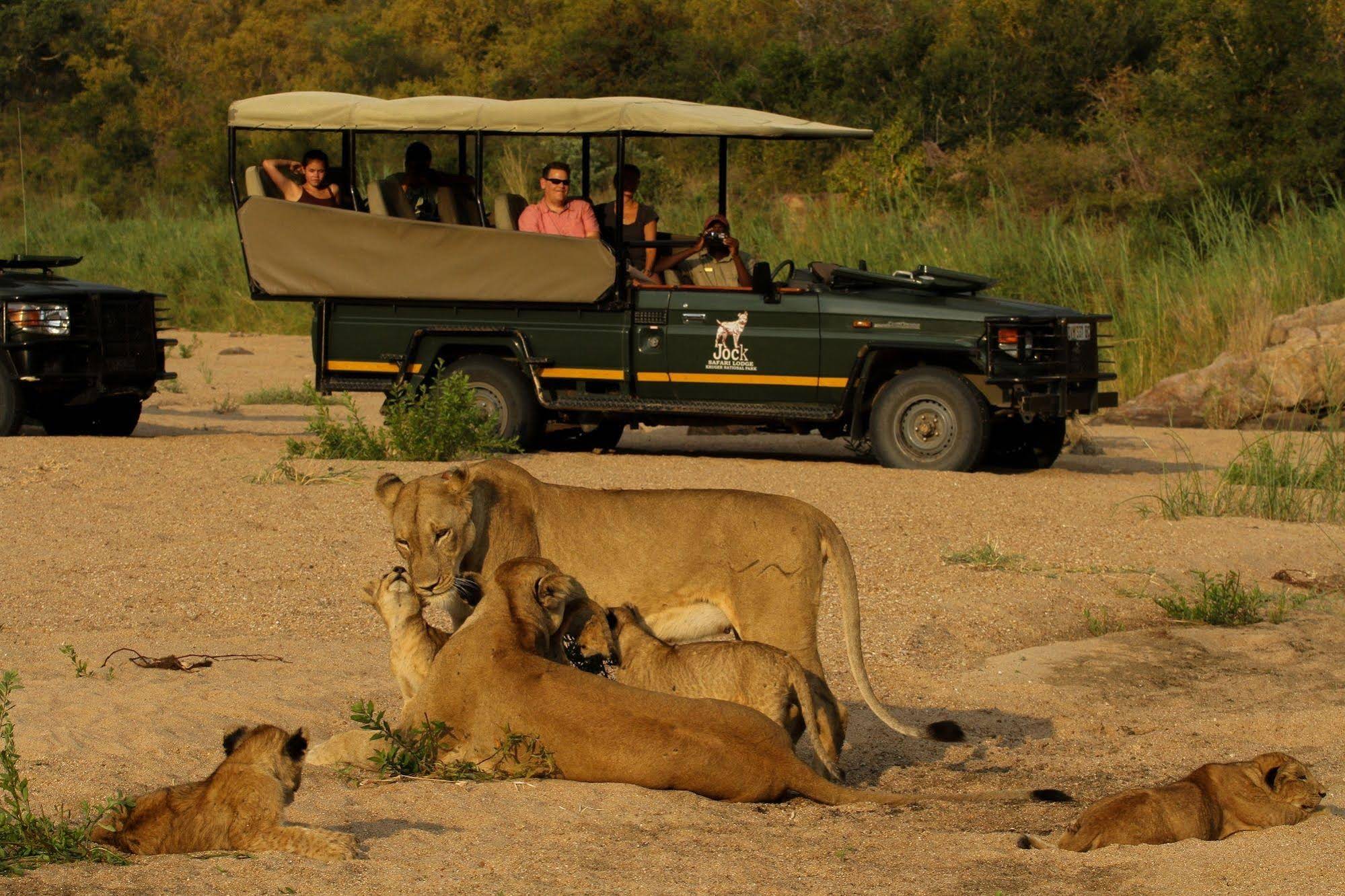 Jock Safari Lodge