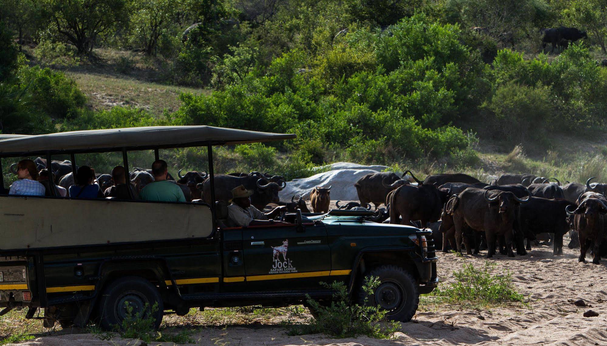 Jock Safari Lodge