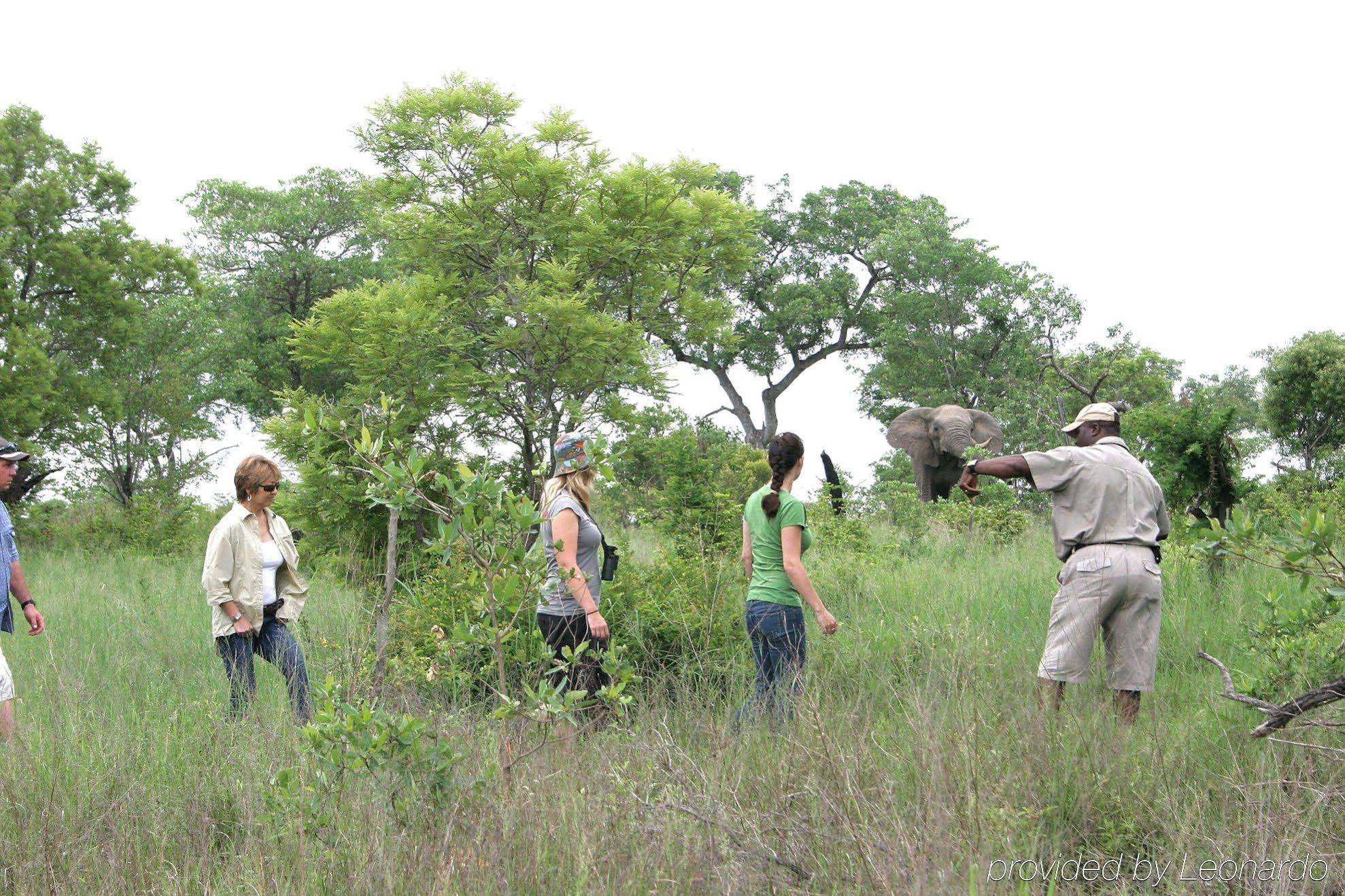 Jock Safari Lodge