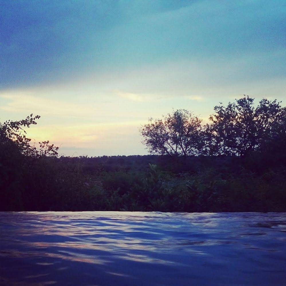 Bushwise Safari & Lodge