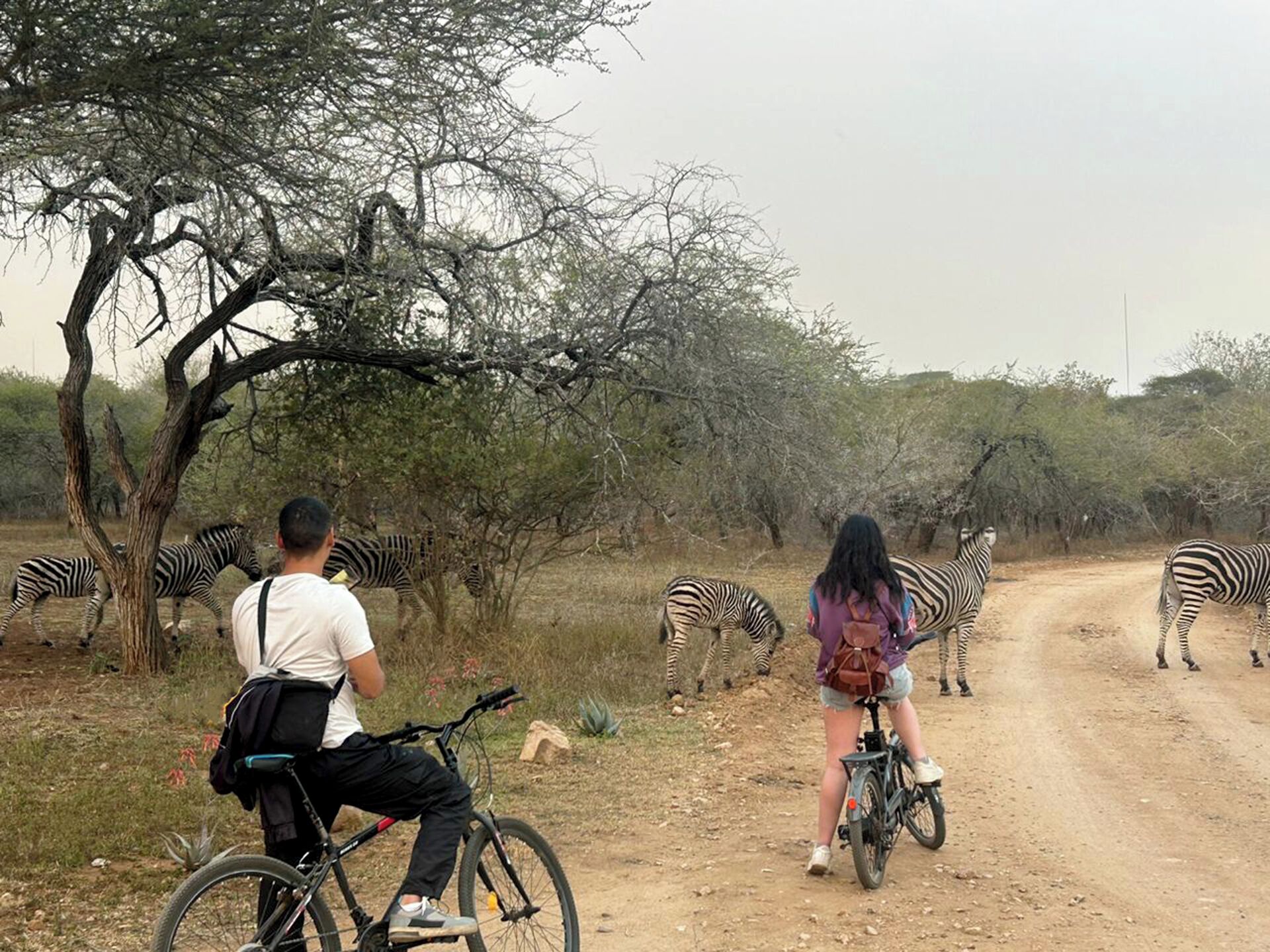 Kruger Park Hostel