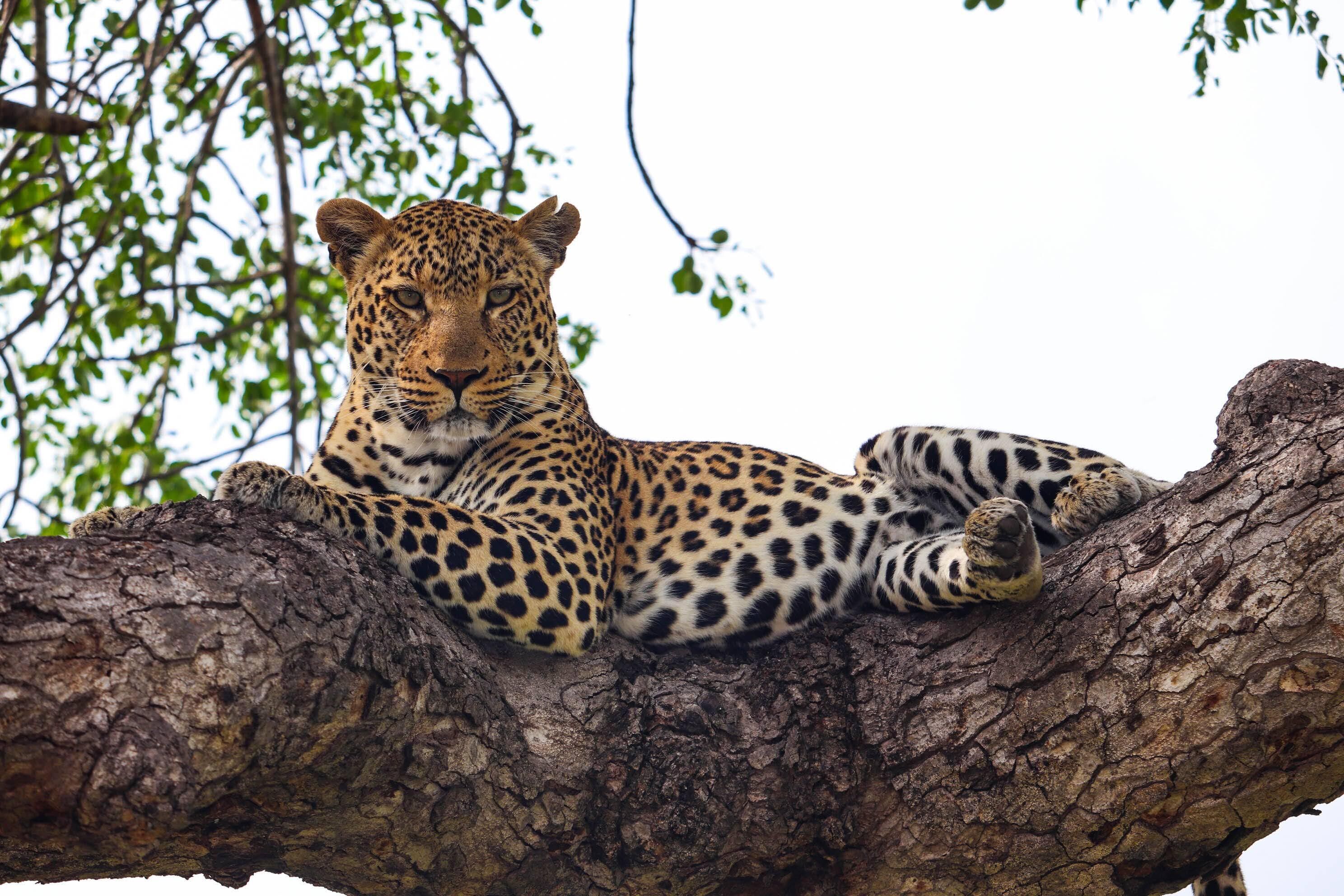 Kruger Park Hostel