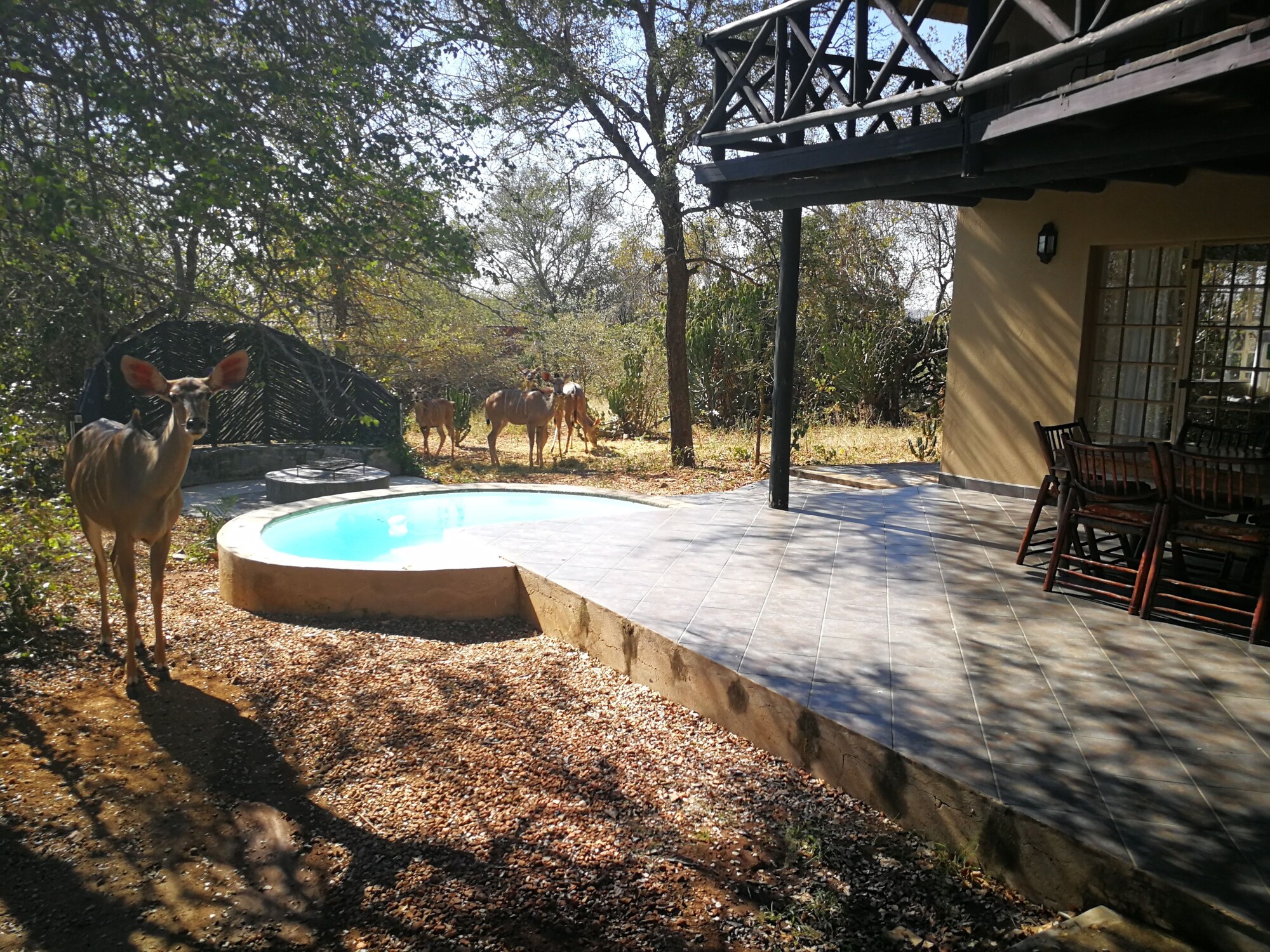 Kruger River Villas