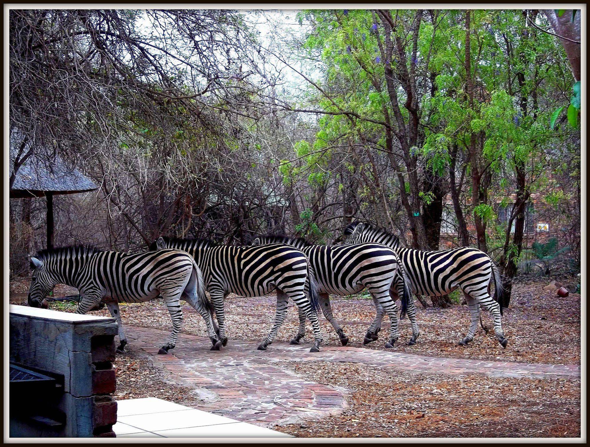 Phumula Kruger Lodge And Safaris