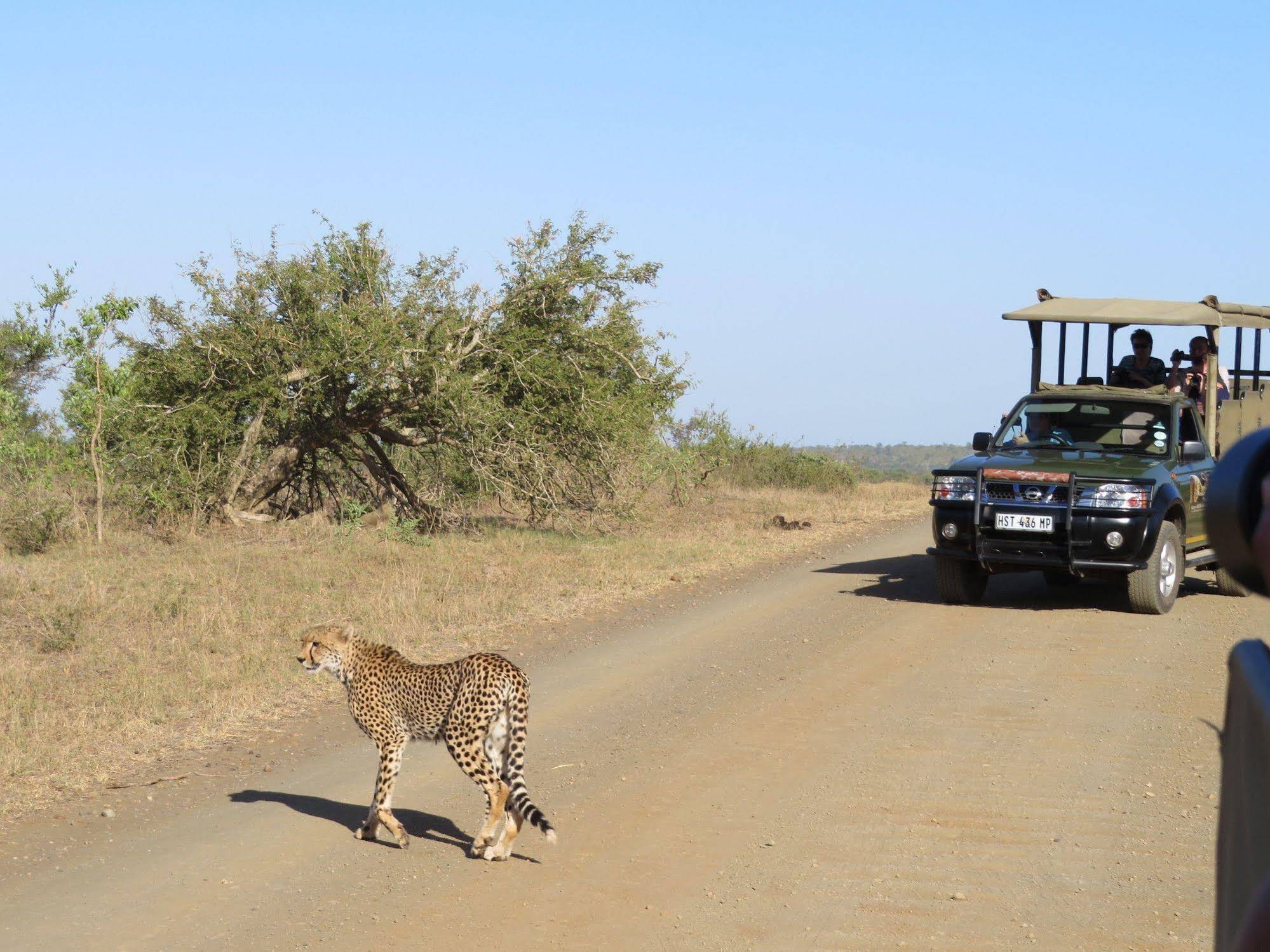 Phumula Kruger Lodge And Safaris