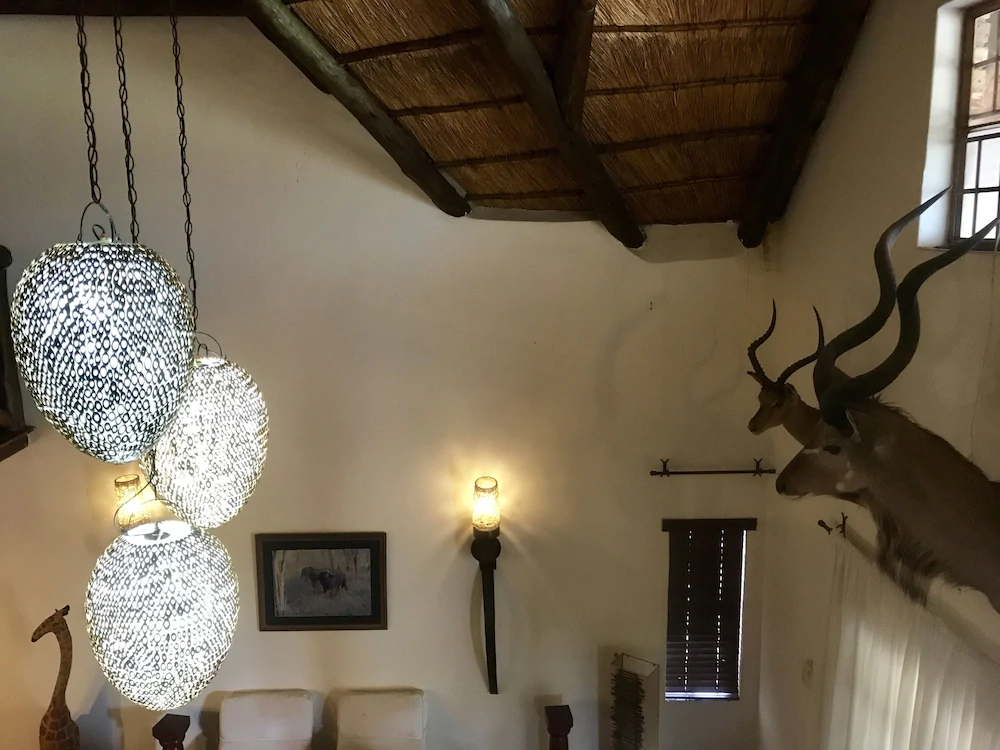 Rhinos Rest