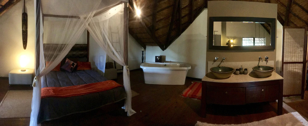 Rhinos Rest