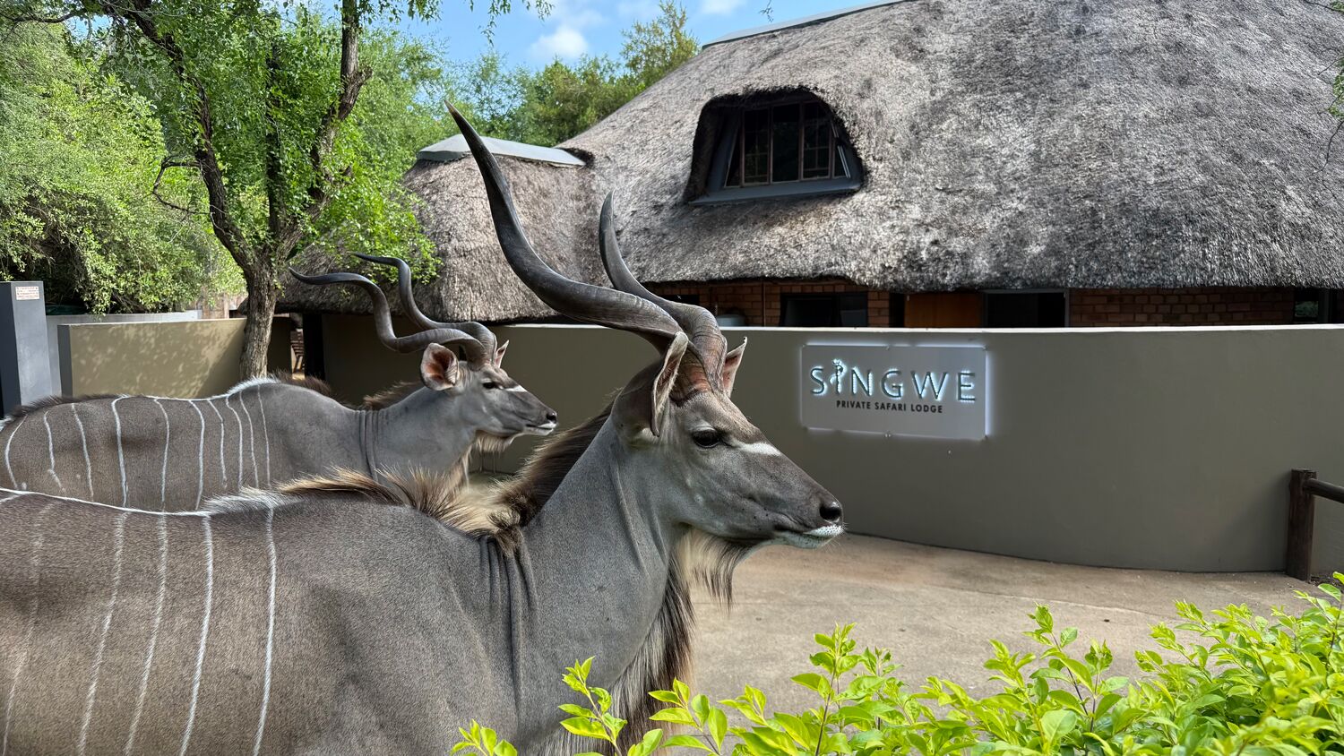 Singwe Private Safari Lodge