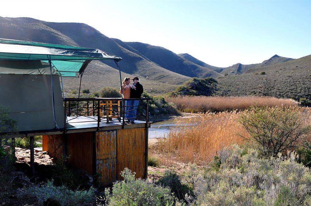 African Game Lodge