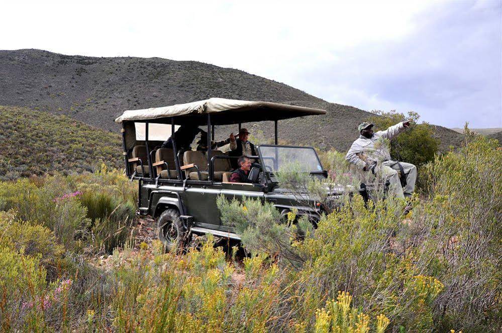 African Game Lodge