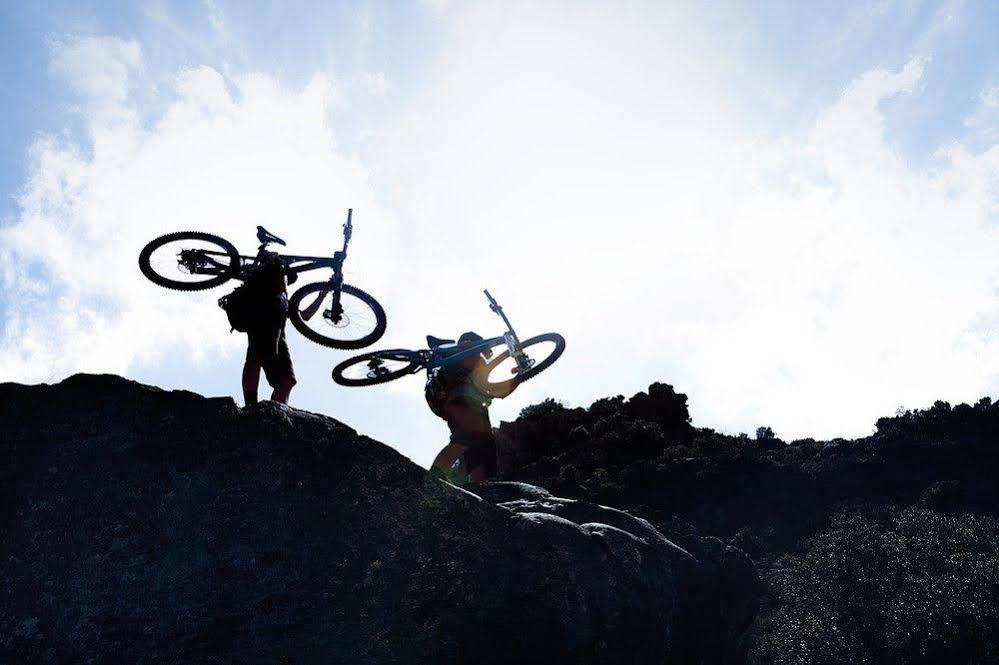 Langdam in Koo Guest Farm