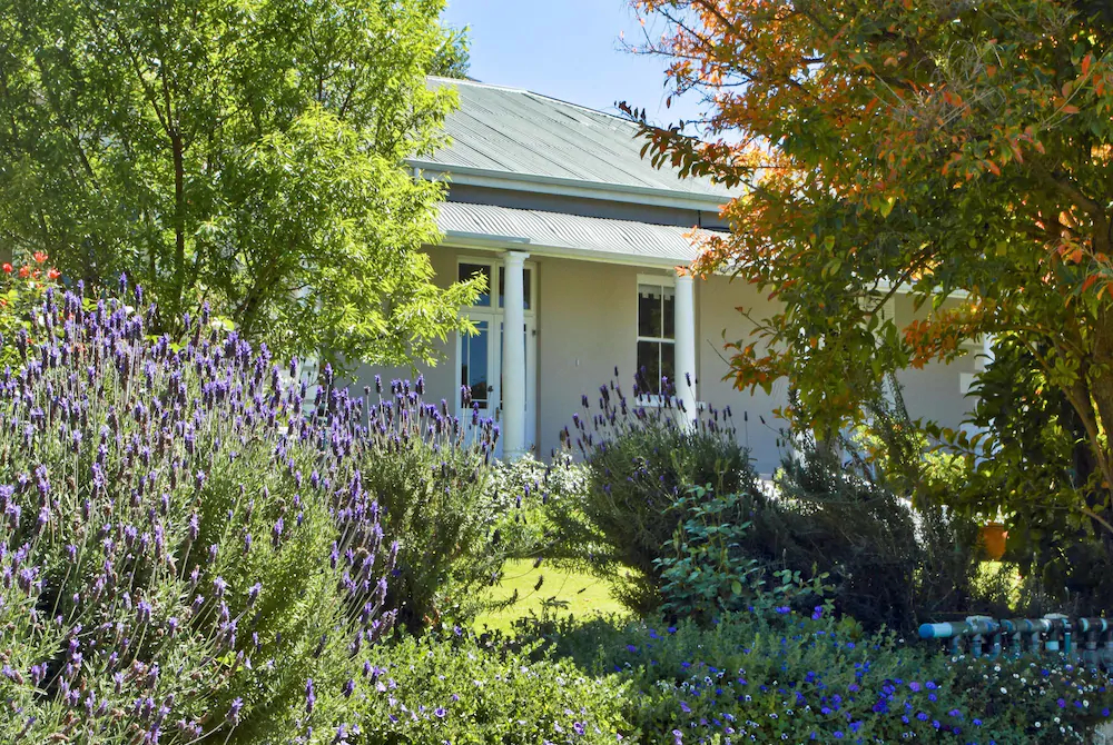 Montagu Vines Guest House