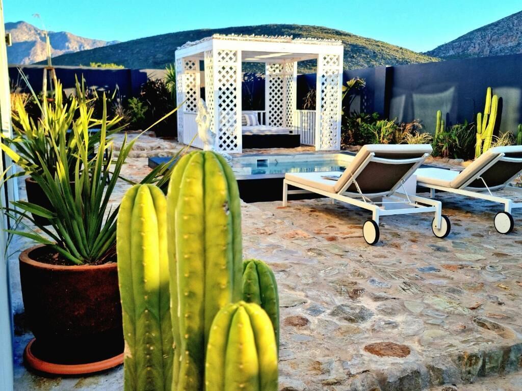 Pjure Wellness Retreat & Spa