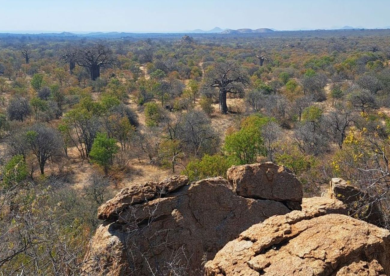 Hambana Lifestyle Lodge