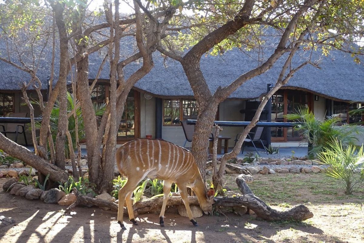 Hambana Lifestyle Lodge
