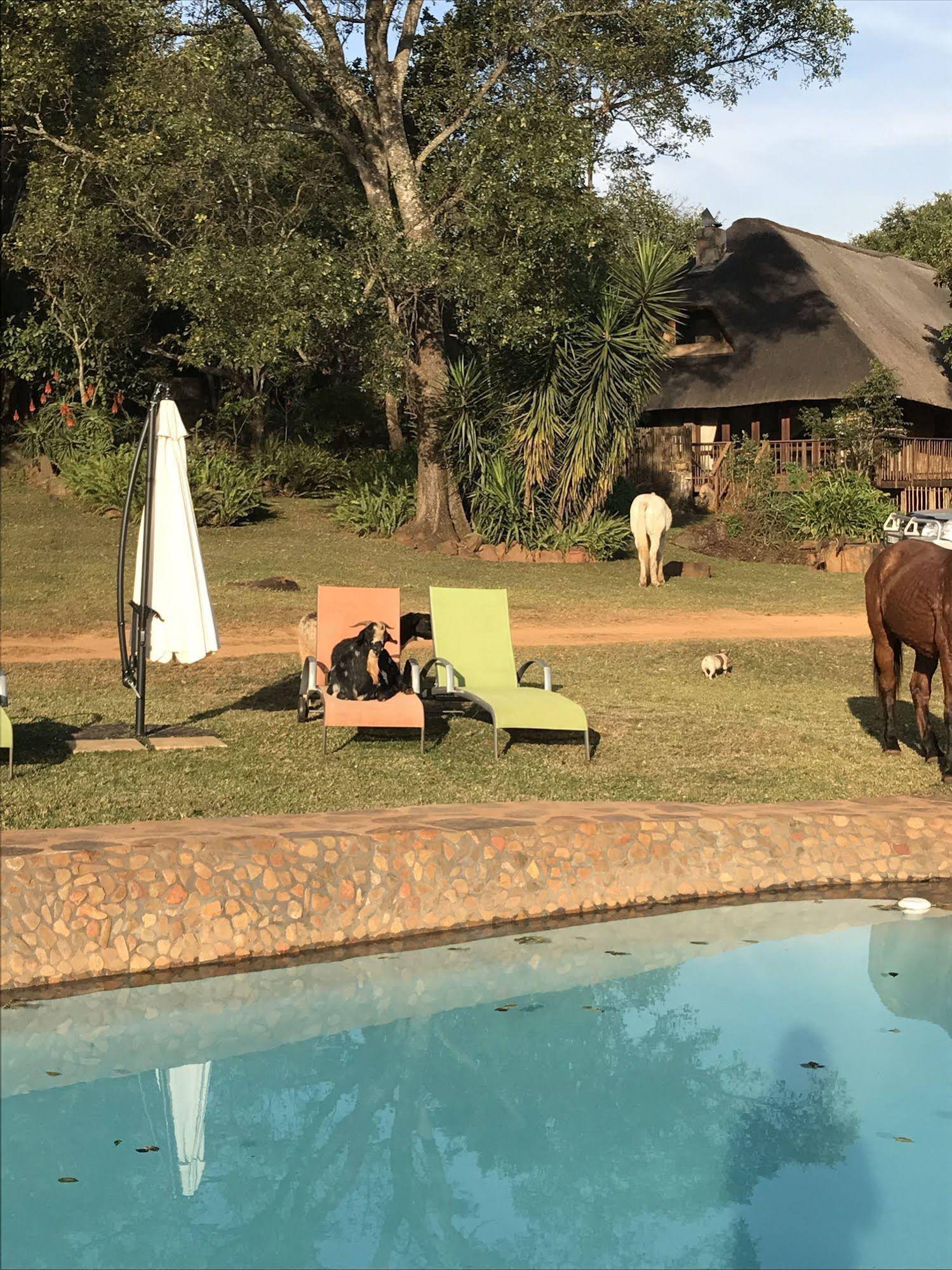Caracal Lodge