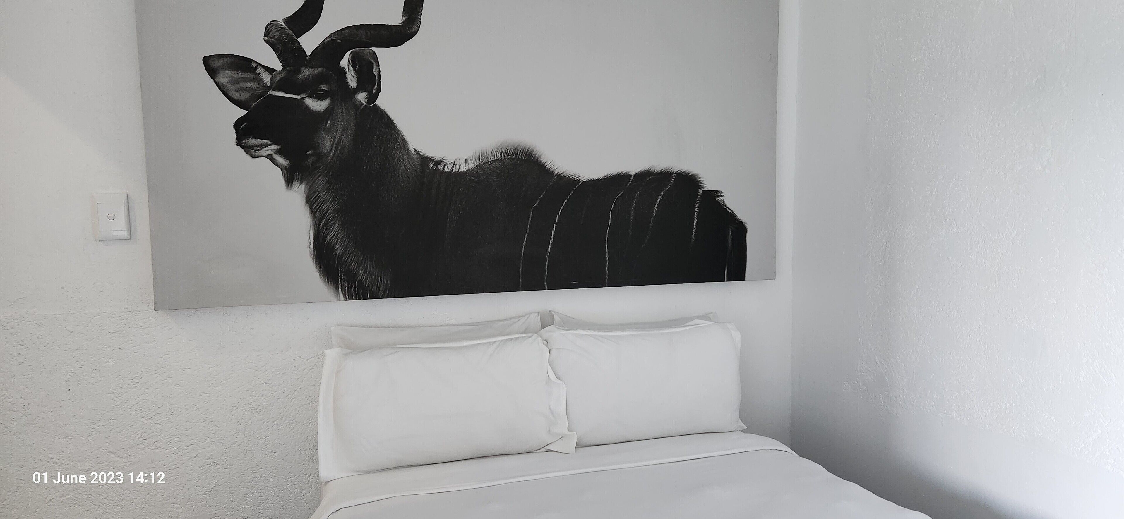 Casa Palmeira Guesthouse