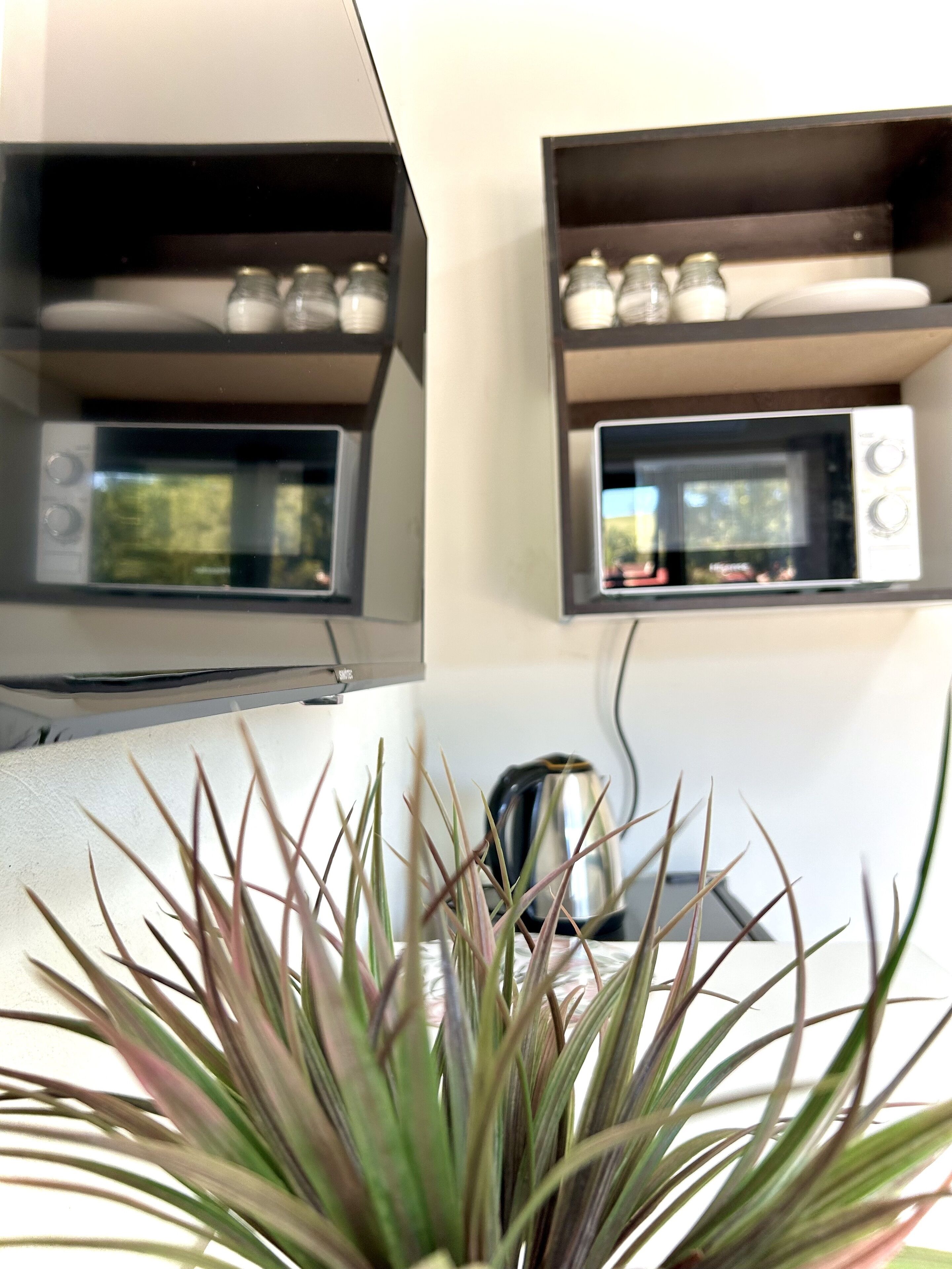 Protea Guesthouse