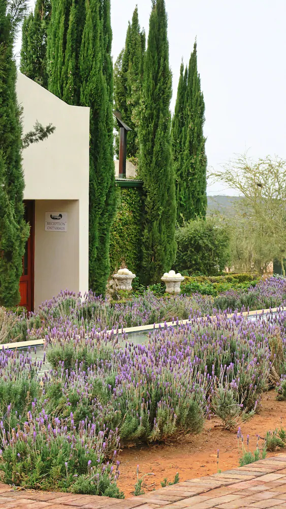 Berluda Farmhouse & Cottages
