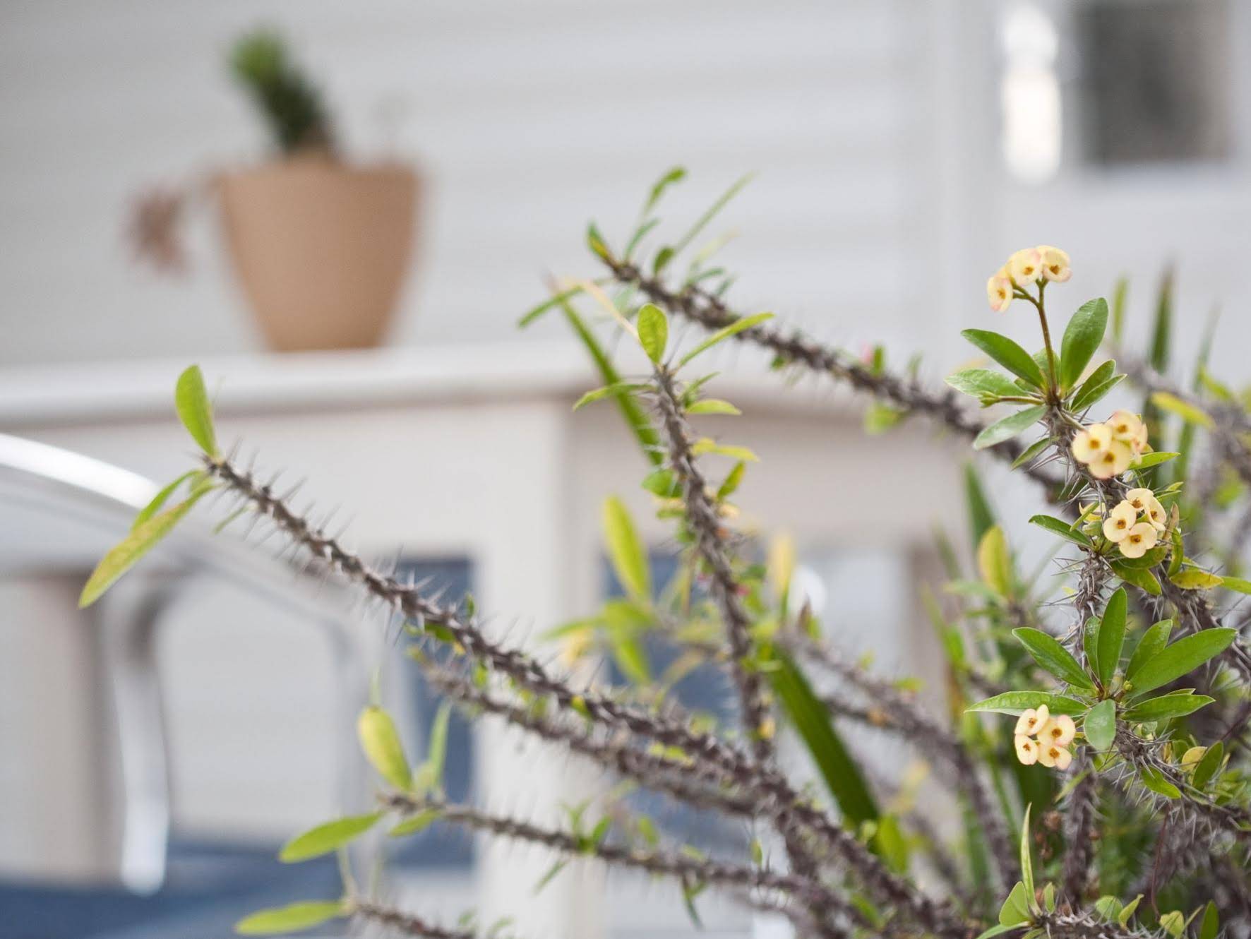 Karoo Retreat