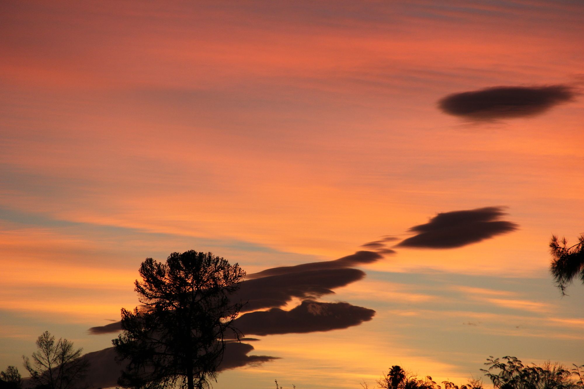 The Gumtree Guesthouse