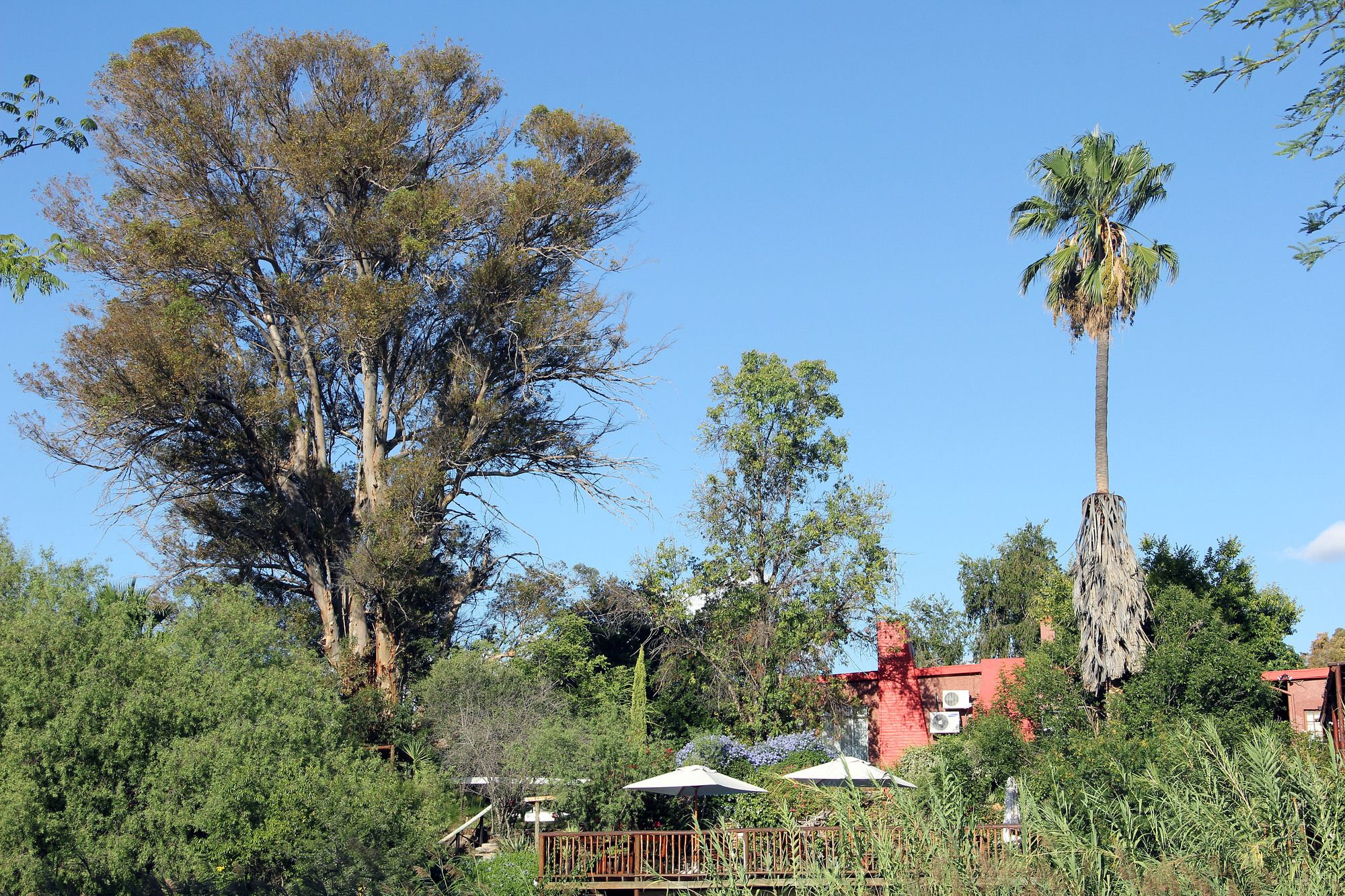 The Gumtree Guesthouse