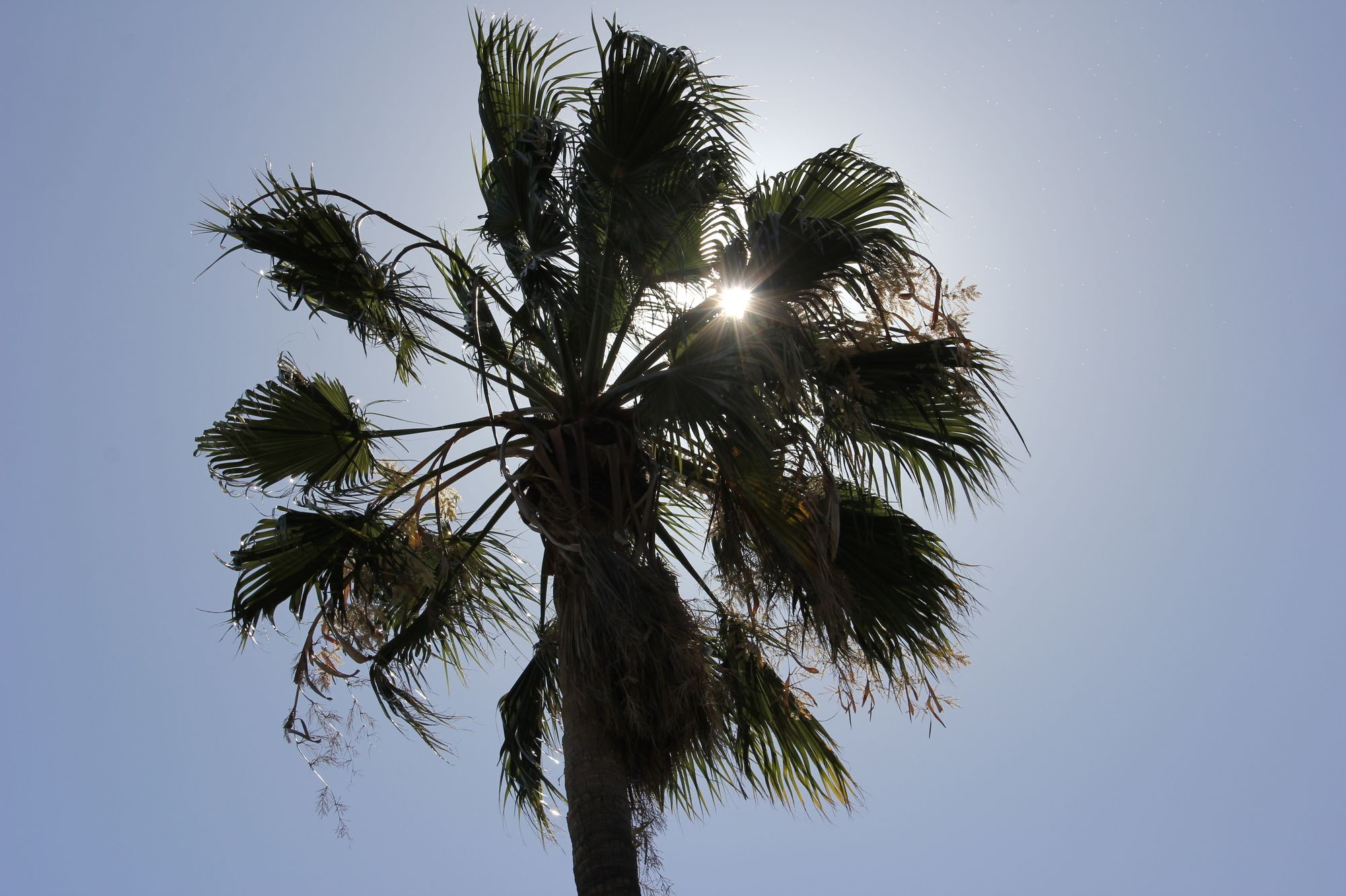 The Gumtree Guesthouse