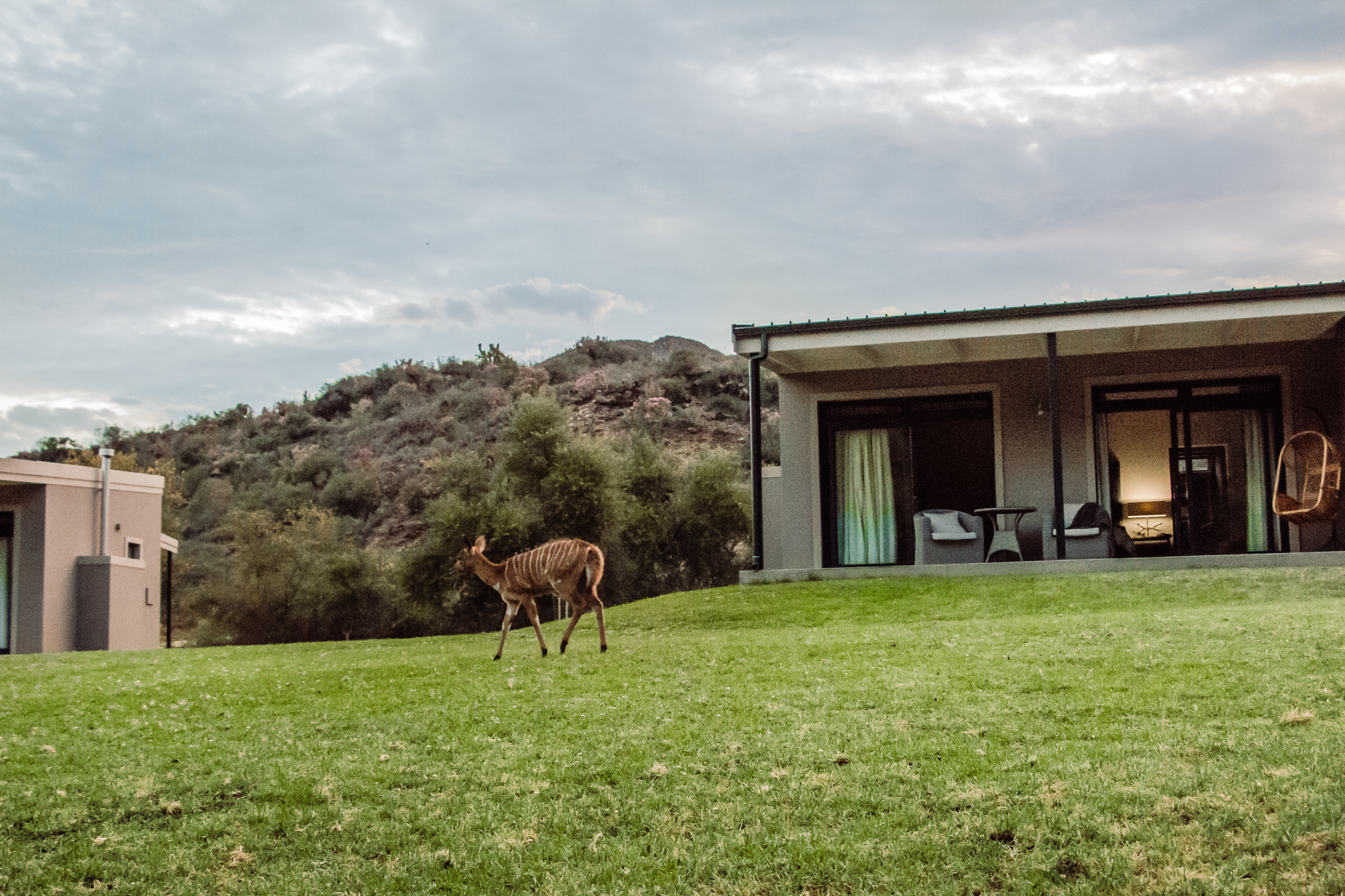 Wildehondekloof