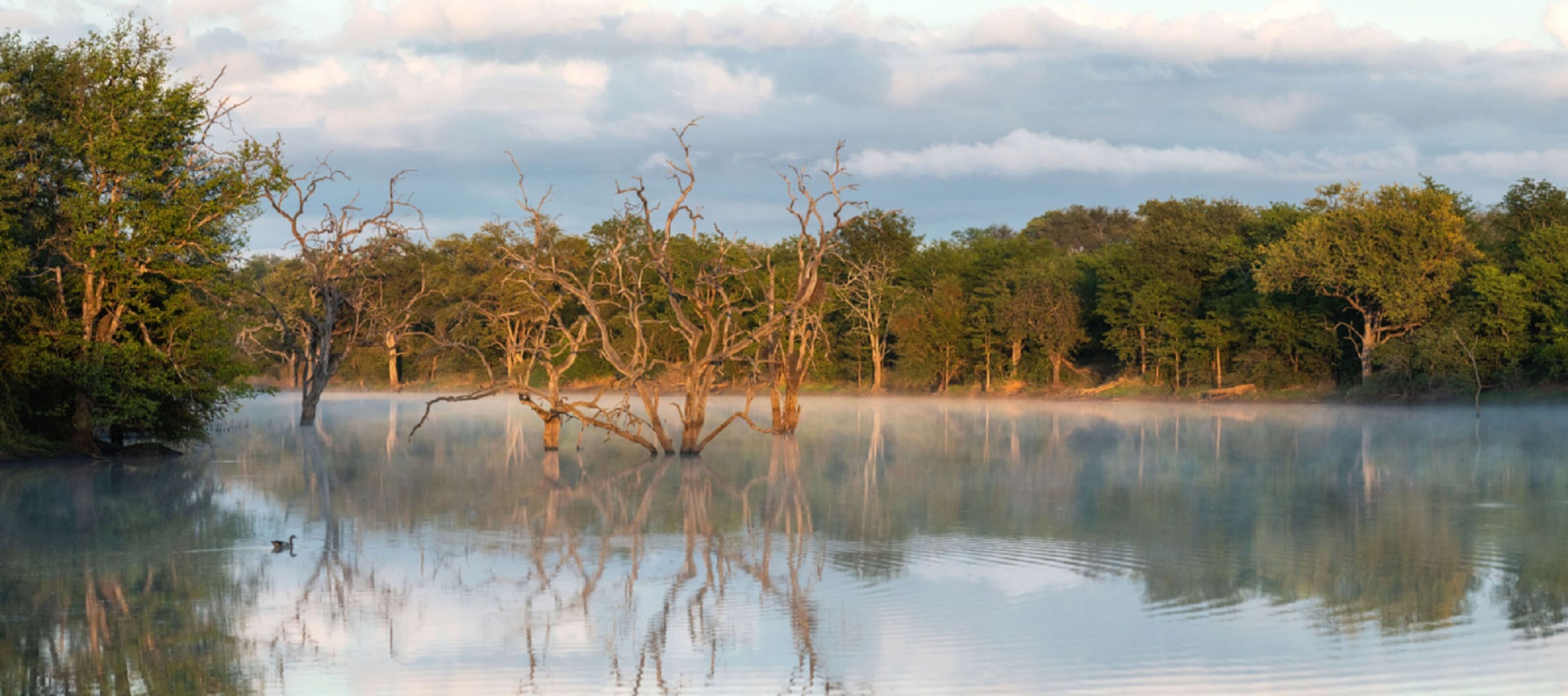 Abelana River Lodge