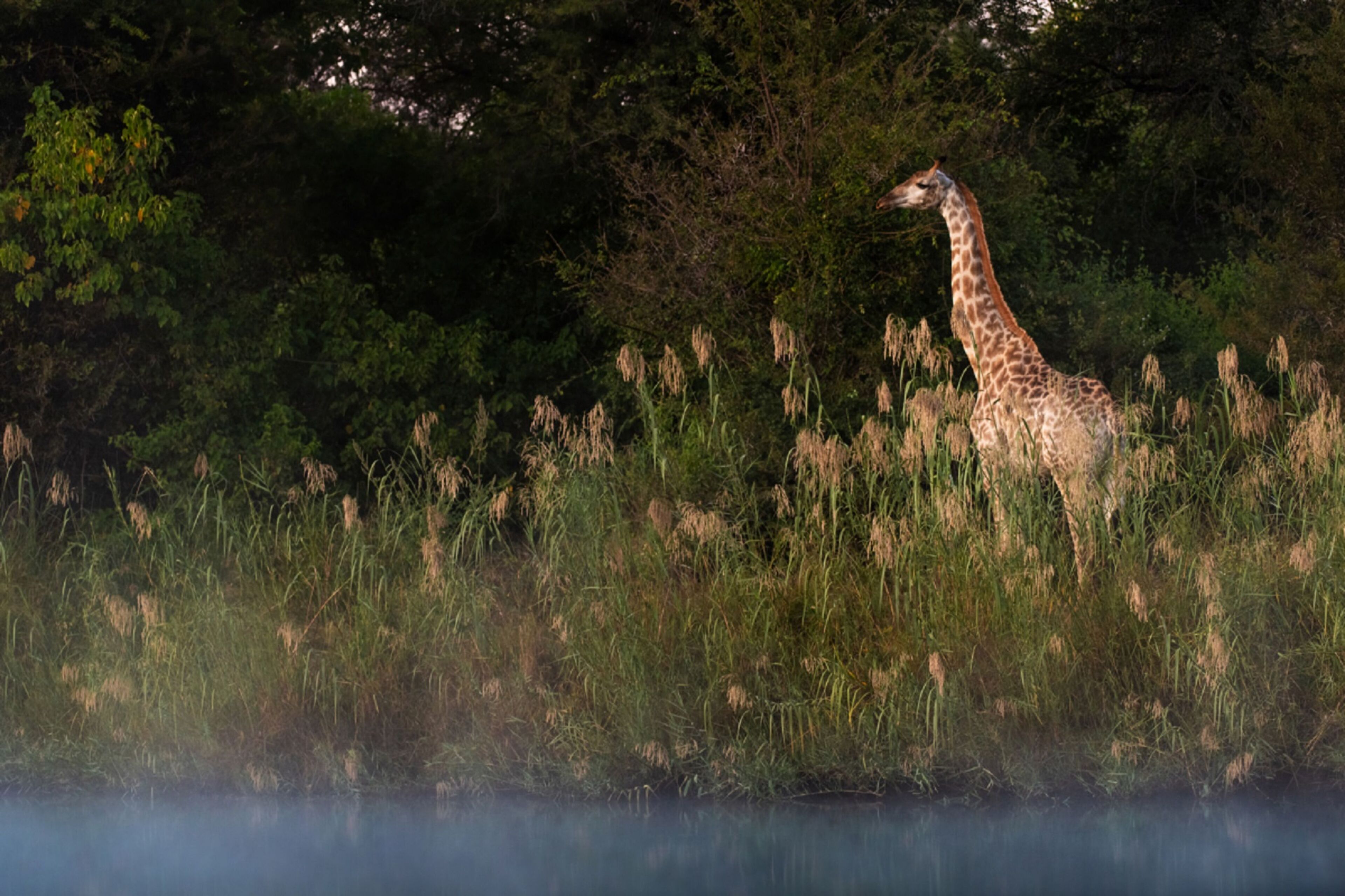 Abelana River Lodge