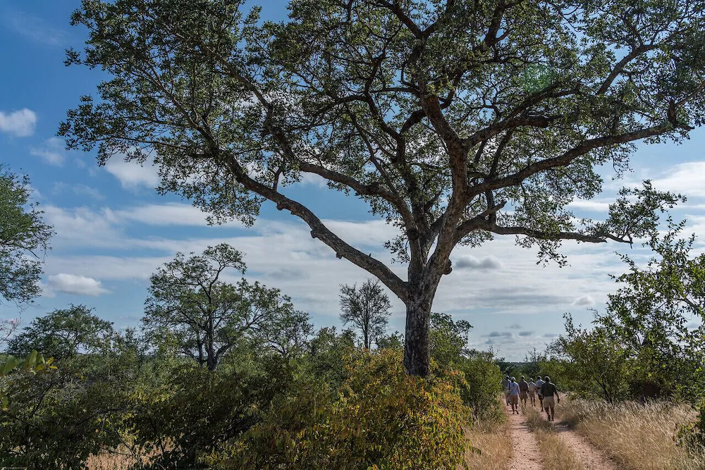 Abelana Safari Camp