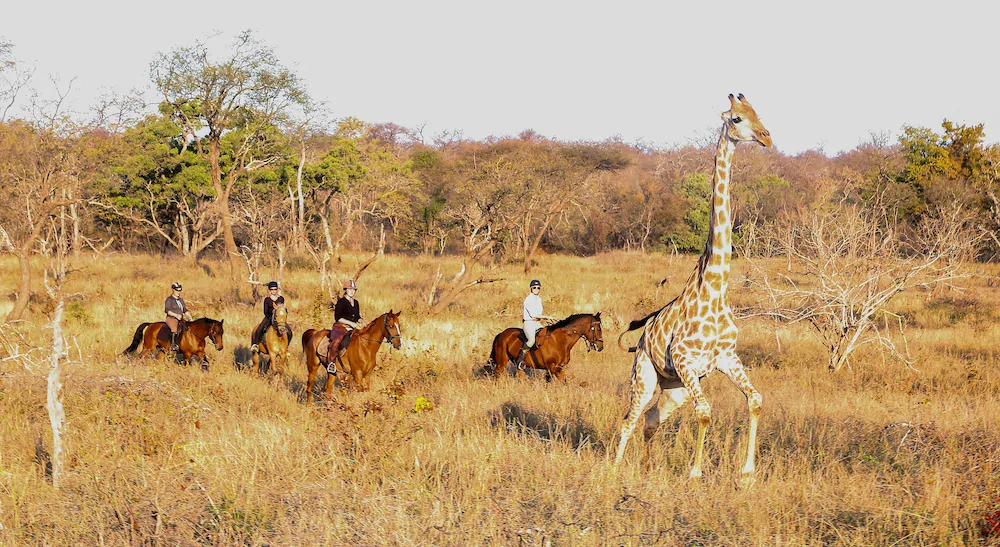 Abelana Safari Camp