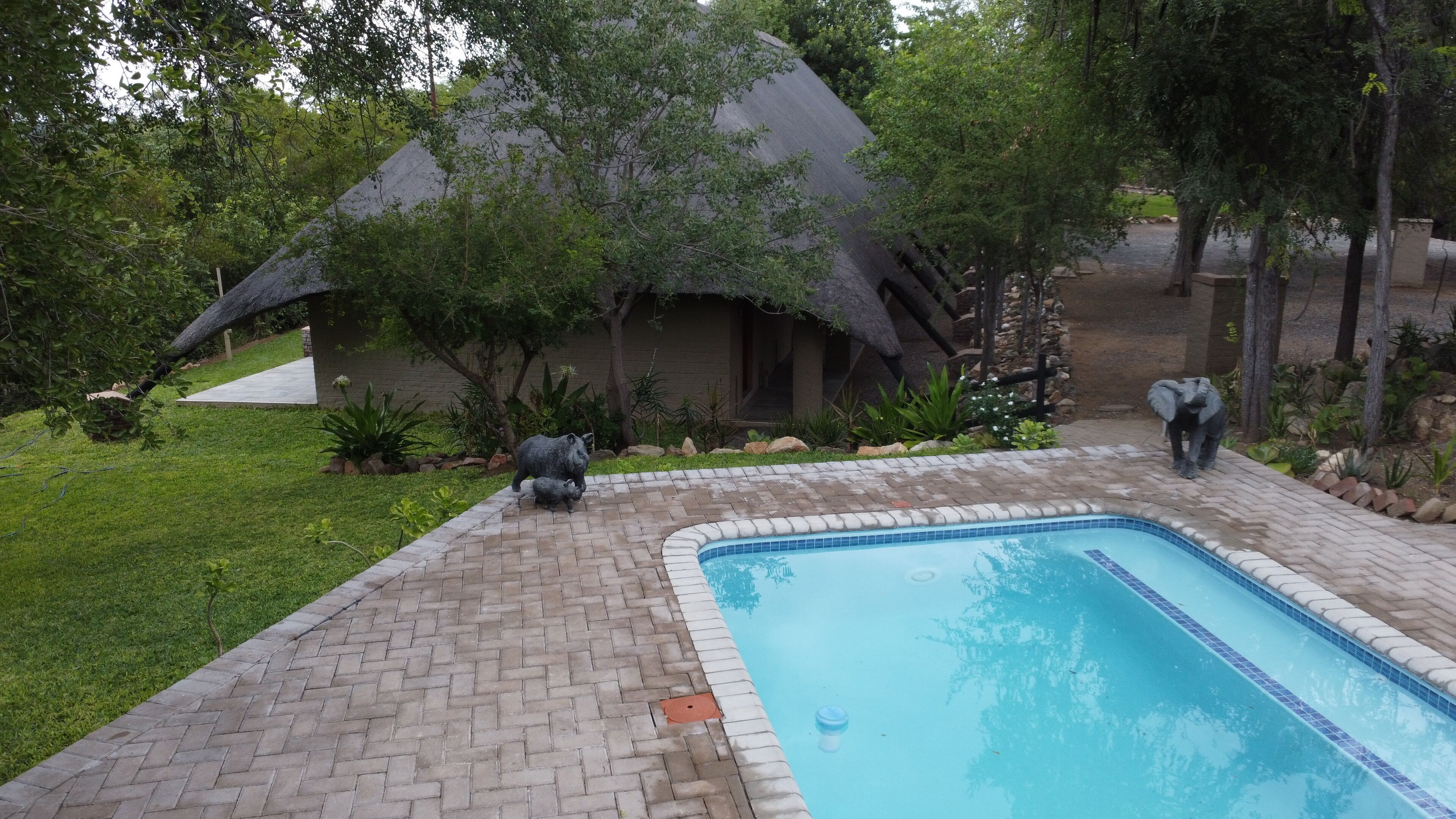 Balule Bushveld Safari Lodge