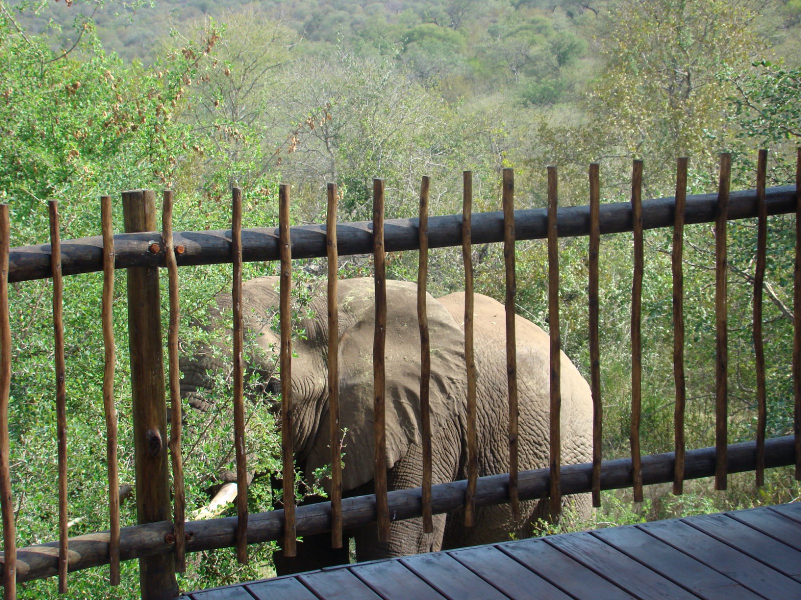 Muweti Bush Lodge