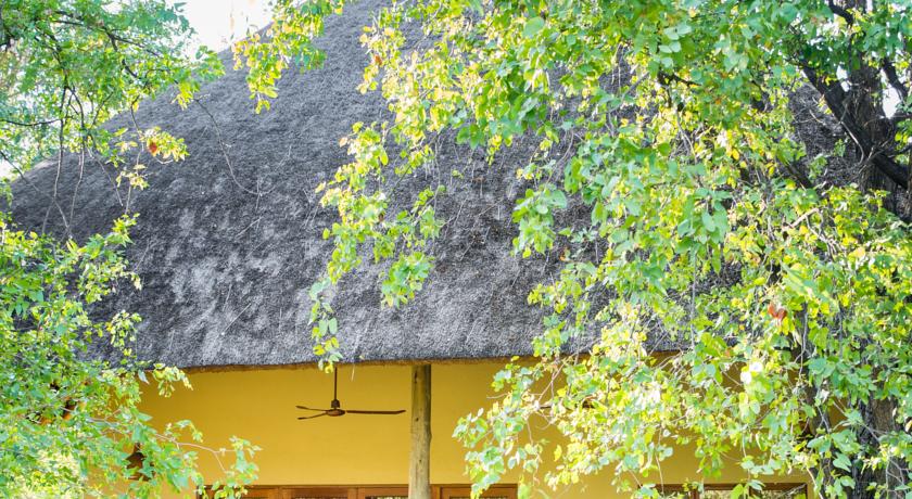 Sefapane Lodge & Safaris