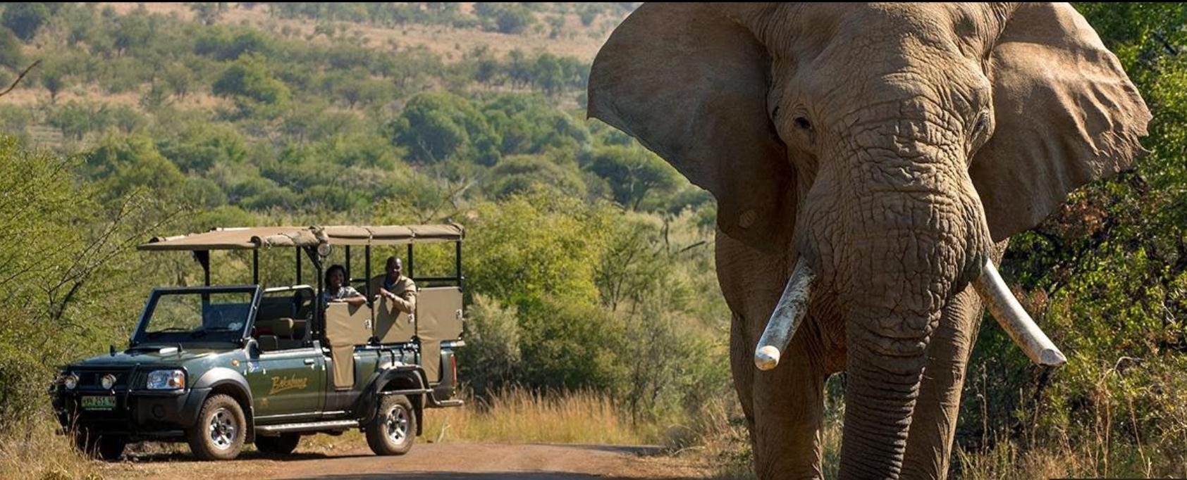 Bakubung Bush Lodge