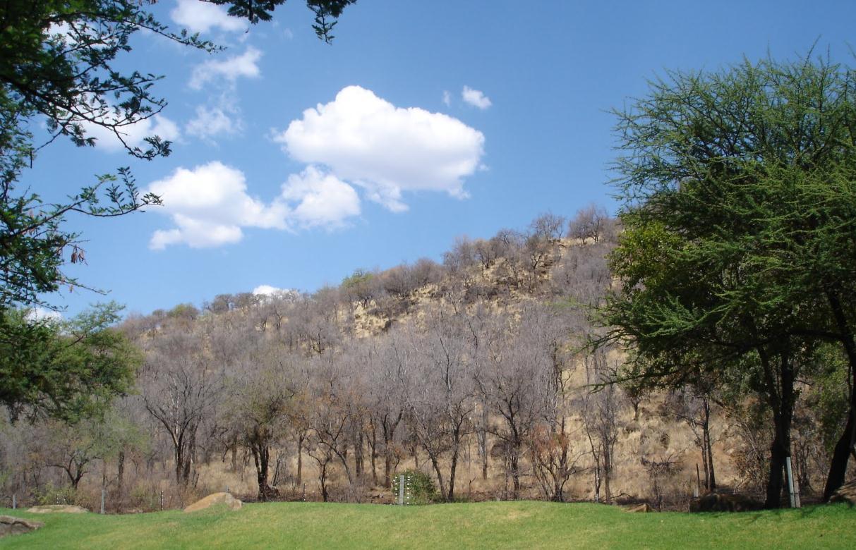 Bakubung Bush Lodge