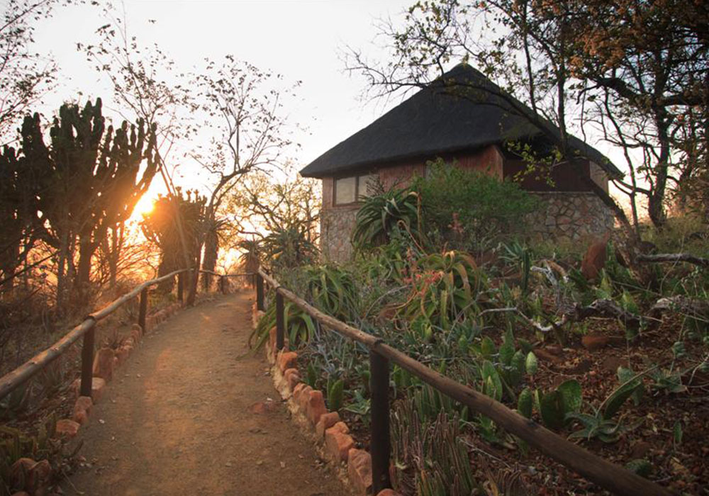 Shayamoya Lodge