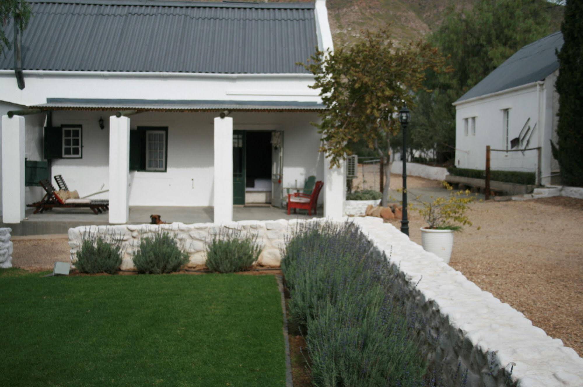 Dennehof Karoo Guesthouse