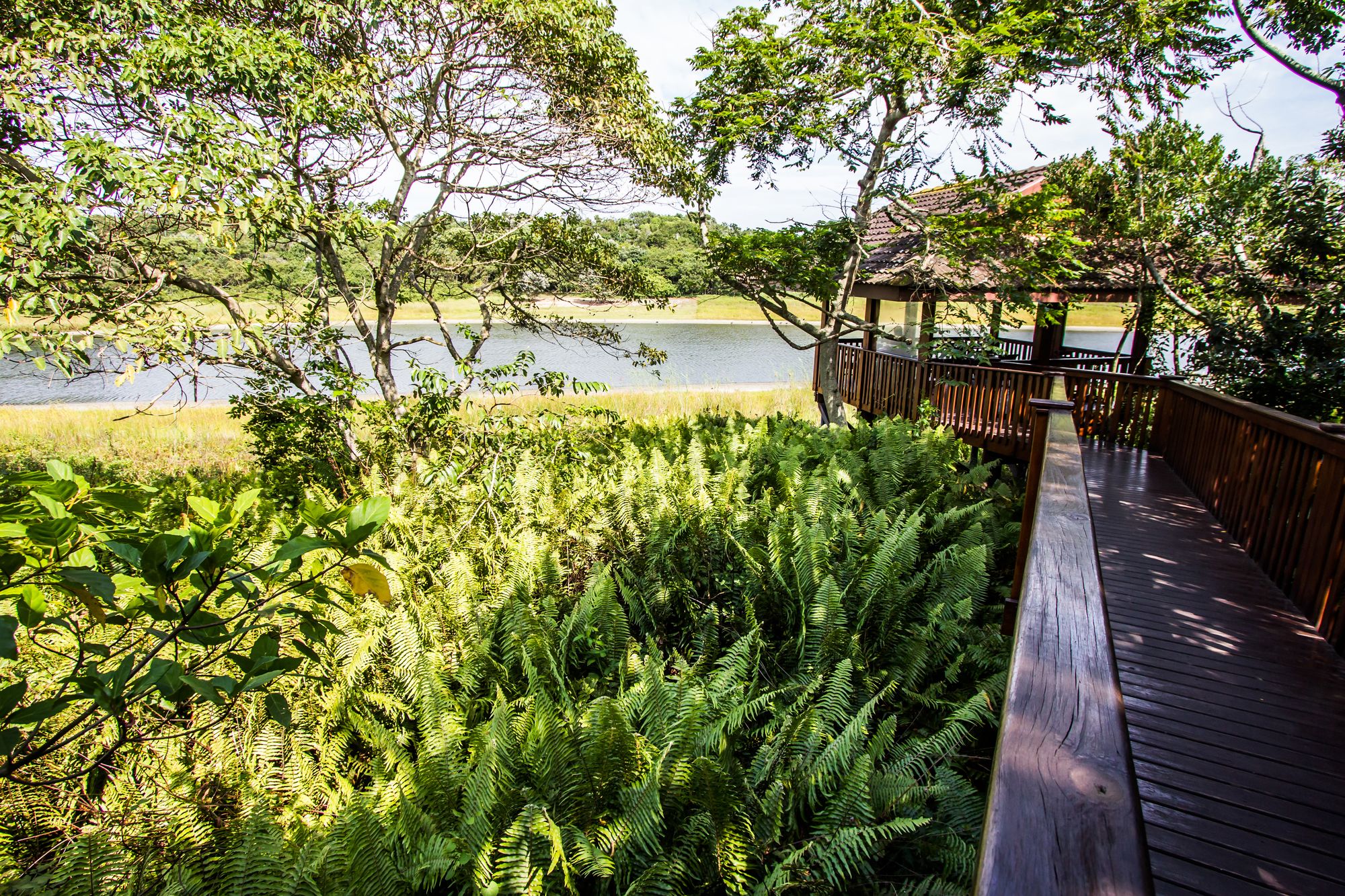 Imvubu Lodge