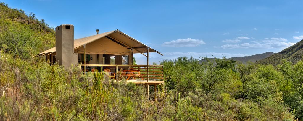 Africamps Boutique Camping at Pat Busch Mountain Reserve