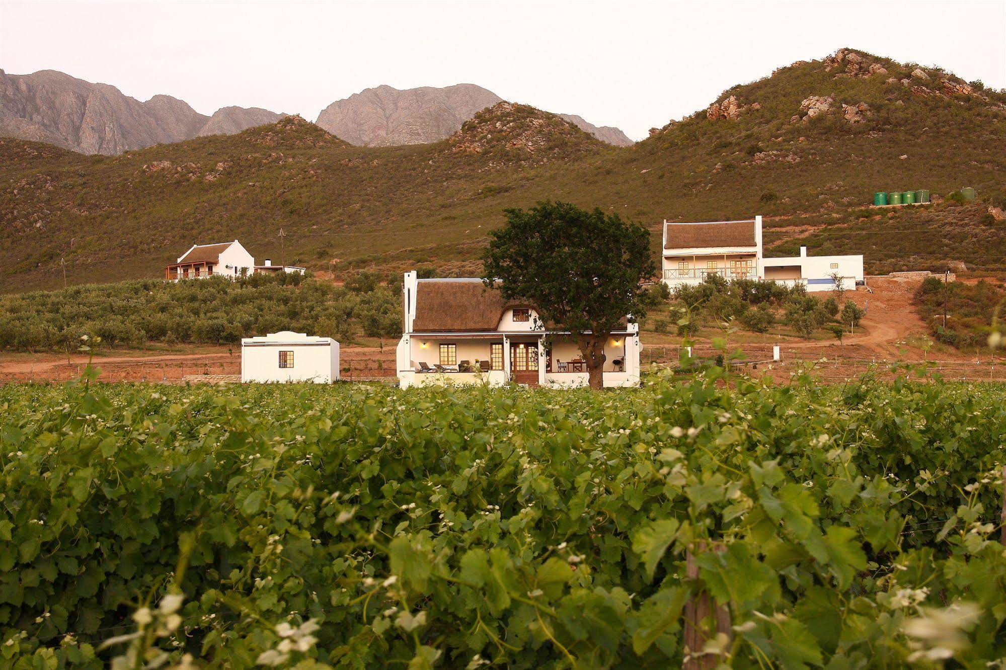 Orange Grove Farm