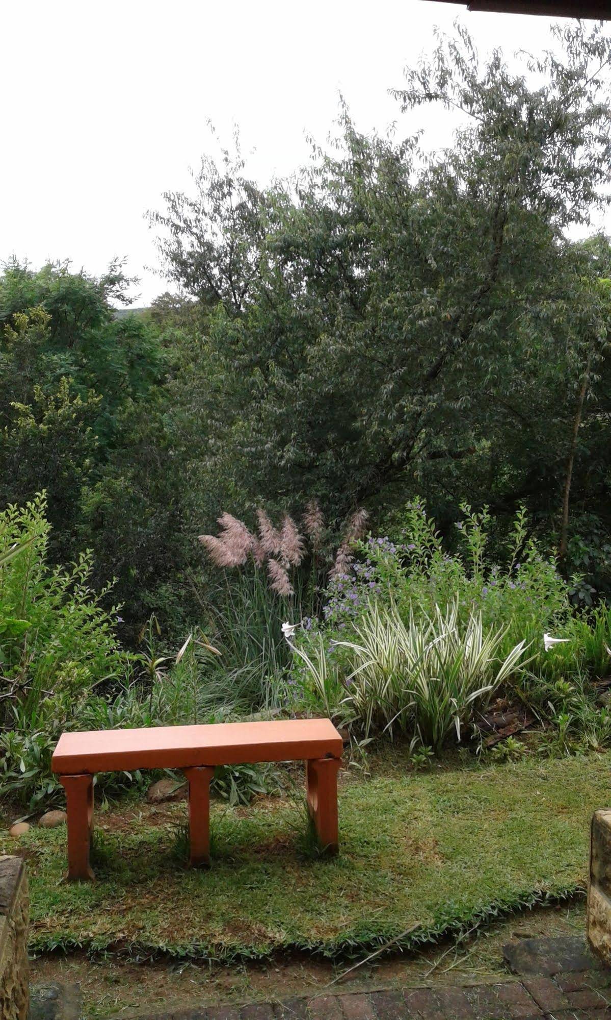 Forest View Guest House